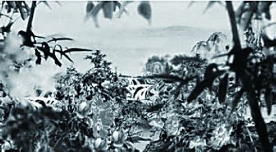 月落重生灯再红(2)