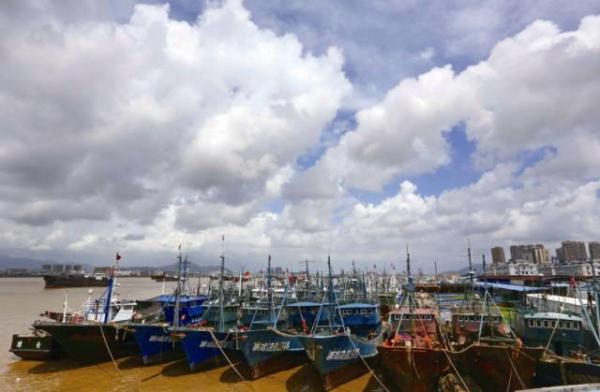 最新消息:台风尼伯特预测路径将纵贯浙江!93