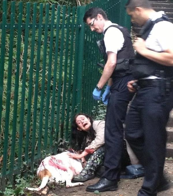 撼 | 斗牛犬因为和狗打架被对方主人狂刺23刀,