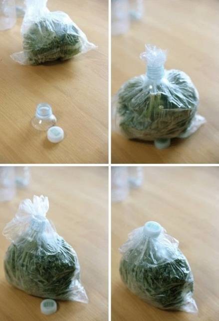 СţļرУ