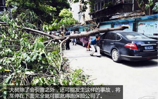 开车时遭雷击，他做了一件事让全家平安