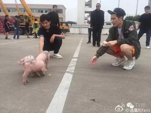 这个Boy有毒!长了张初恋脸,却在自黑路上越走越远