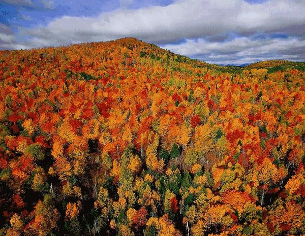 两张厦门-温哥华往返机票,只要你来,就有机会拿