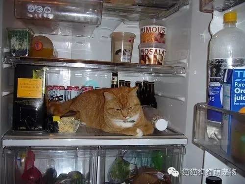 û뵽˵ıװèģ