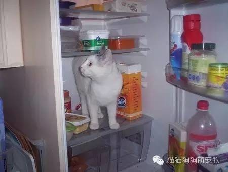û뵽˵ıװèģ