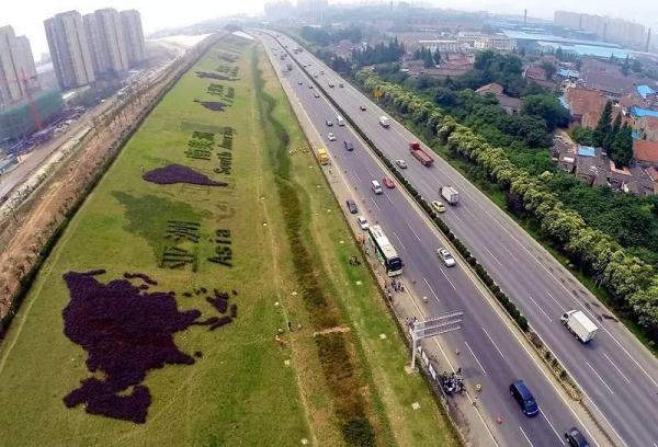 南京要限牌、限号、限行了?回应:拟研究可行性 南京要限牌、限号、限行了?回应:拟研究可行性