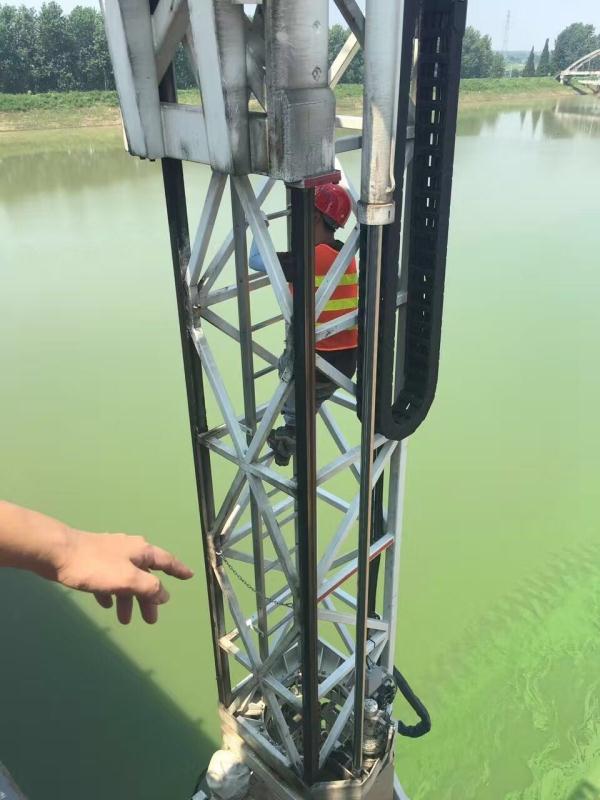 里每天猫9小时,这群高学历高颜值的人要干啥