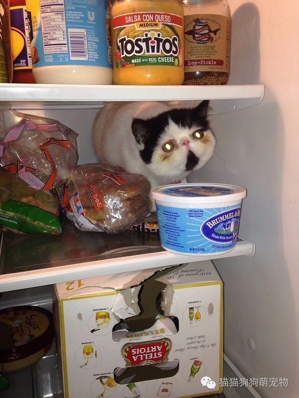 û뵽˵ıװèģ