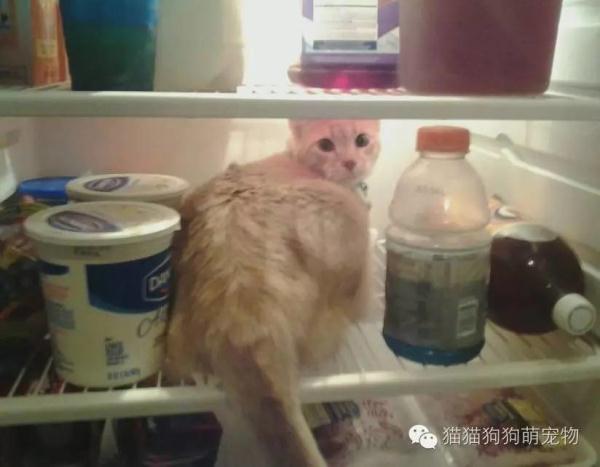 û뵽˵ıװèģ