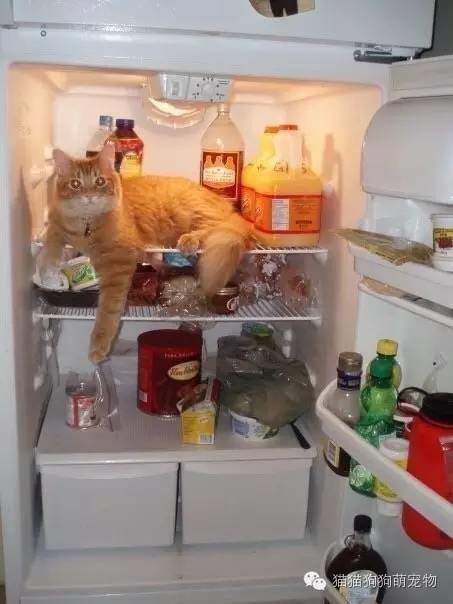û뵽˵ıװèģ