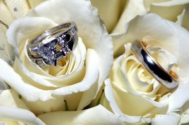 送给所有在外奔波的女人