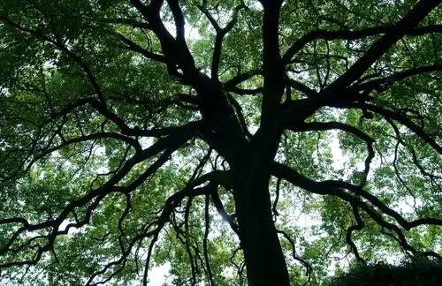 看完酸酸的,我想,很多人看完都会放到朋友圈的