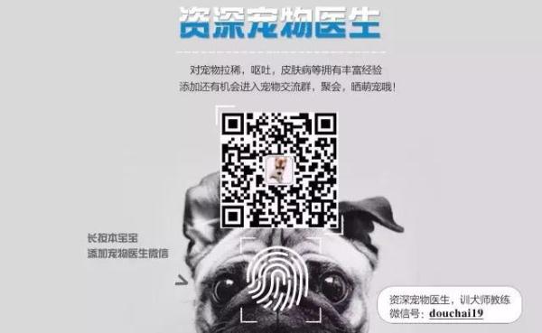 /enpproperty--> 我们或许改变不了世界,但我们可以从身边每一件小事做起,让这个世界变得更美好,更有爱!就如下面这主人公一样: 故事发生在一家商店外头,在英国肯特郡的多佛小镇 (Dover) 里的一家连锁零售店 Marks & Spencer外面,有一只德国狼犬被拴在路灯旁,乖乖的等主人在店里买东西。
