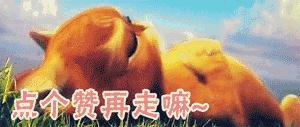 мǣǧţһҪø֪|Ͼڿ