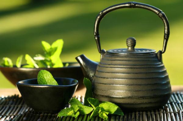 二马茶文化 | 绿茶的讲究