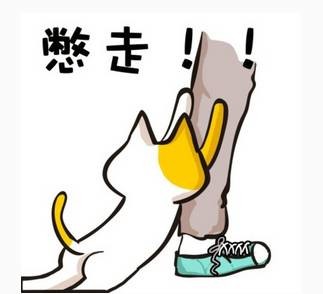 慌下面一个天字猜成语_竖下面一个命字猜成语(3)