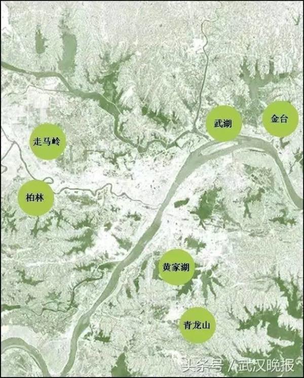 武汉市人口密度_中国城区人口密度最大的城市是武汉吗