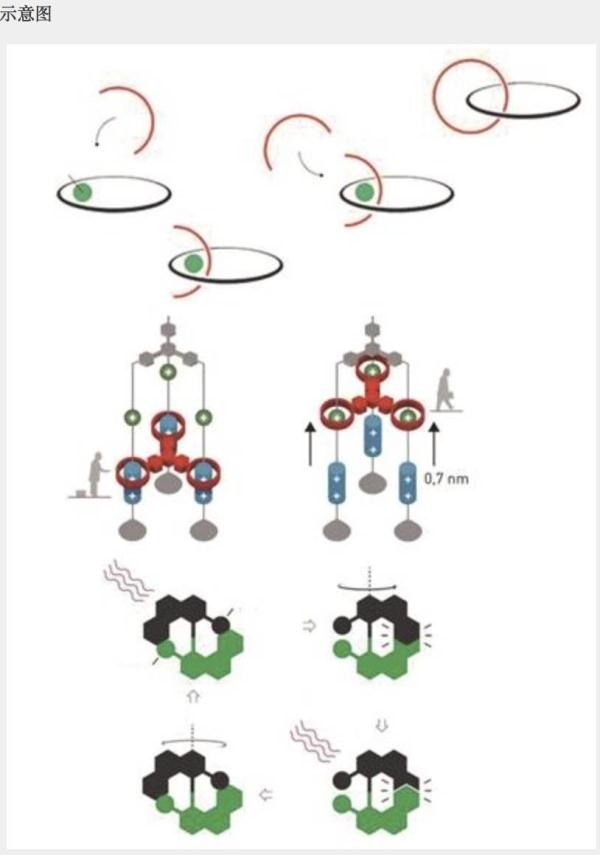 揭秘 | 这个机器比头发的千分之一还细！将来有望“撑”死癌细胞！
