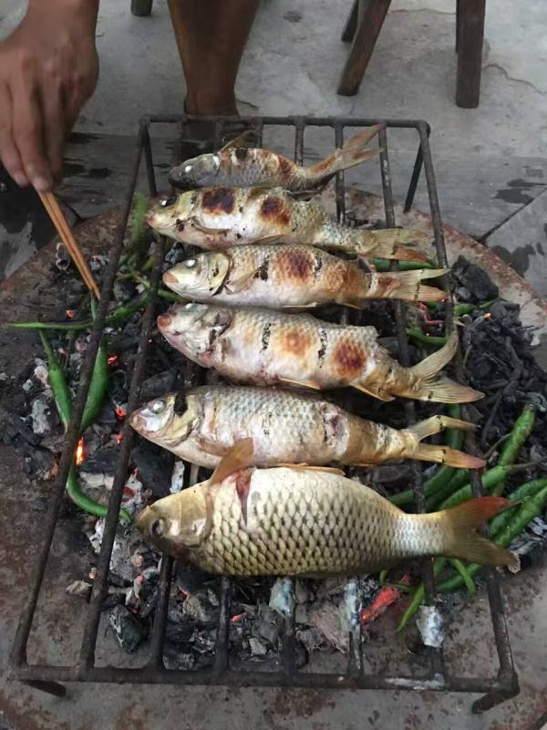 藏在大山深处的美味—侗族烧鱼