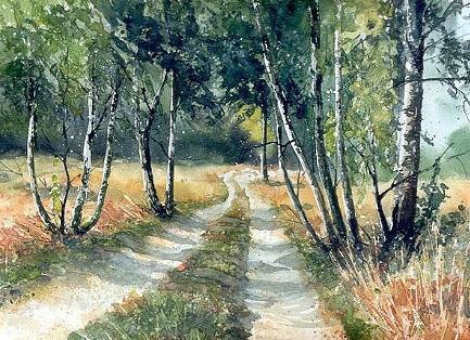 是树不懂爱情,还是风太执着(终生受益)