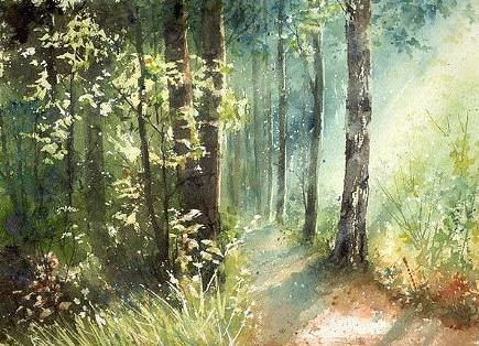 是树不懂爱情,还是风太执着(终生受益)