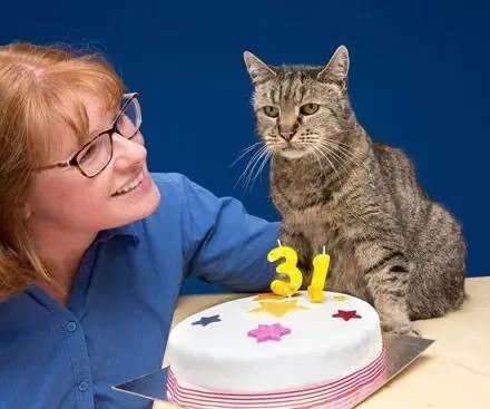 刚过完31岁生日的世界最长寿猫，去年还差点挂了