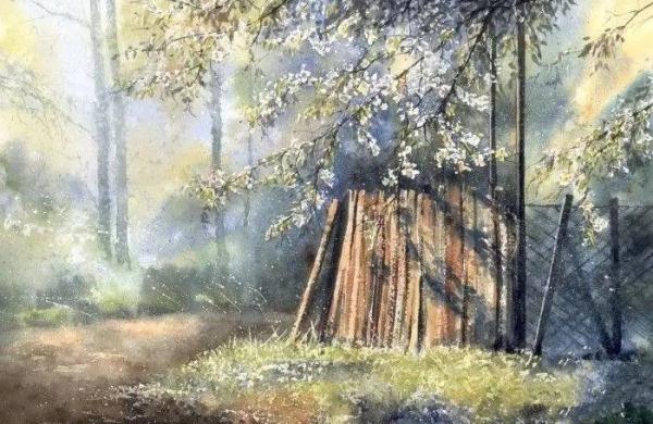 是树不懂爱情,还是风太执着(终生受益)