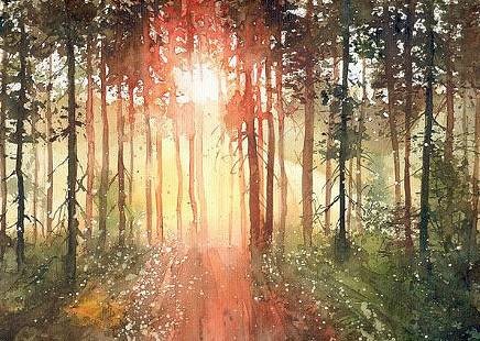 是树不懂爱情,还是风太执着(终生受益)