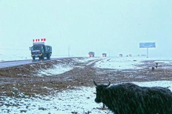 致敬|行走在天路上的高原汽车兵
