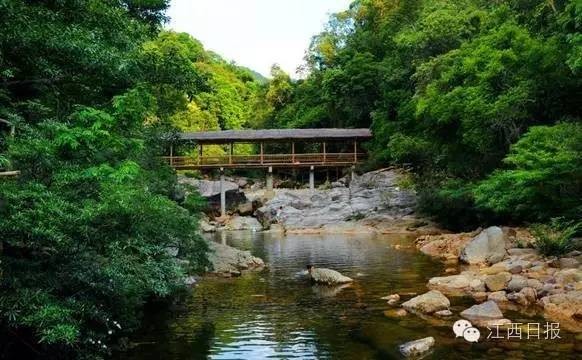 大写的不服!江西仅三地入选中国森林氧吧