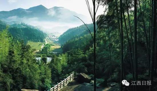 大写的不服!江西仅三地入选中国森林氧吧