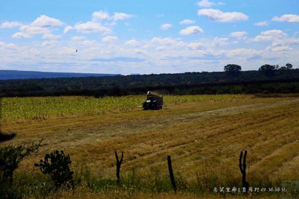走进墨西哥:真正的墨西哥鸡肉卷长啥样