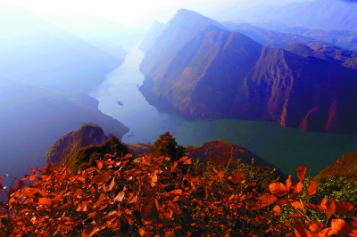 一片片红叶，惊艳了多少江山