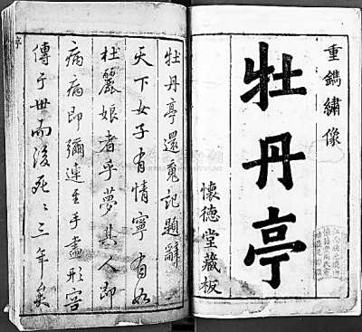 并世双星两重天