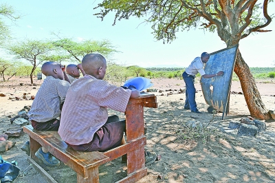 金合欢树下的课堂