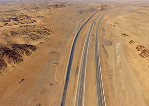 兹游奇绝冠平生--苏轼在儋州