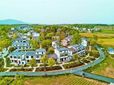 市民下乡 能人回乡 企业兴乡