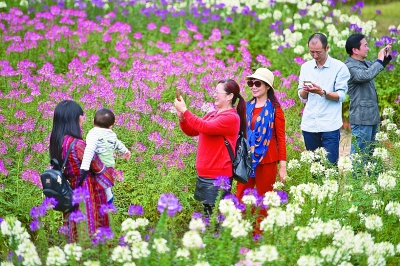 市民下乡 能人回乡 企业兴乡