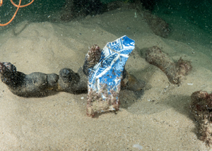 平安租赁创新金融模式,突破小微企业融资难困