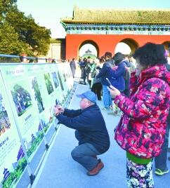 北京园林绿化局发布北京“最美十大树王”