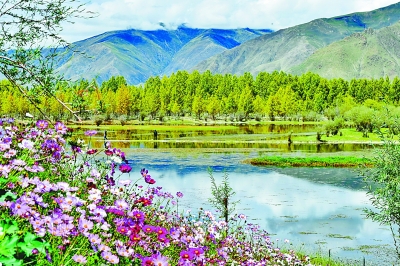 金色池塘,景色宜人