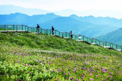 图为游客在赫章县阿西里西·韭菜坪景区旅游观光.