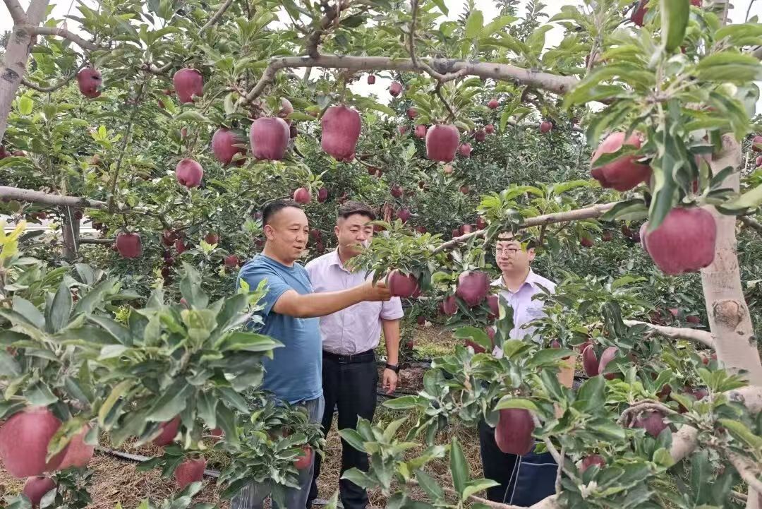 中国农业银行甘肃省分行：山河铺绿金融赋能 奋力书写陇原绿色崛起新答卷