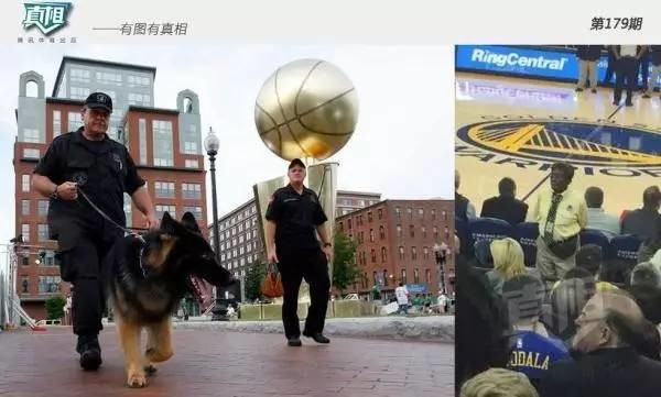 NBA教你如何避免冲突 动用警犬和便衣保持距离|体育课