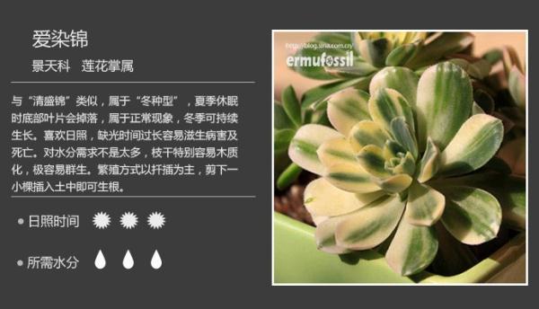 2387455716698534037.jpg