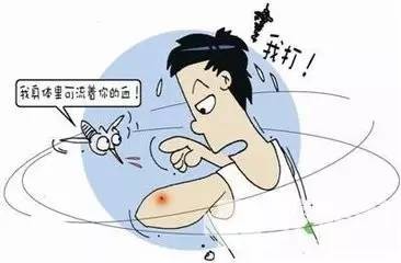 有什么方法可以快速找到蚊子 6109278376048738618.jpg