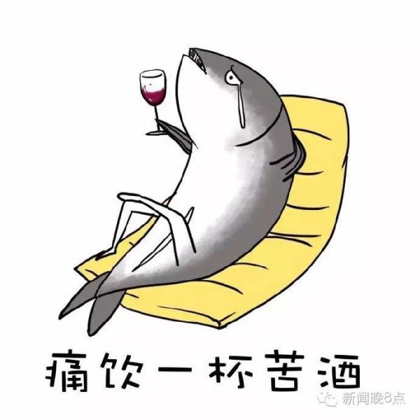 5888966887576914847.jpg