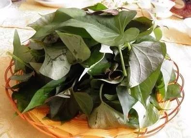 什么蔬菜好吃又贵 7974193854226452301.jpg