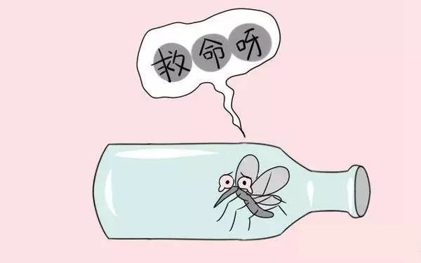 蚊子咬了怎么止痒最有效 2122386408598161685.jpg
