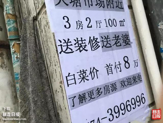 1530417540017075124.jpg